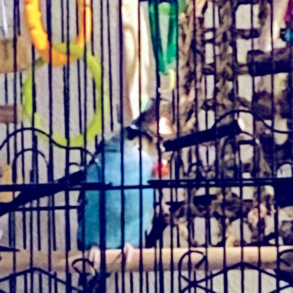 Meet your Posher, Jen - Picture 8 of 12